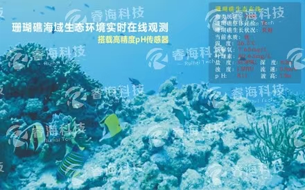 水下波浪在線觀測(cè)系統(tǒng)