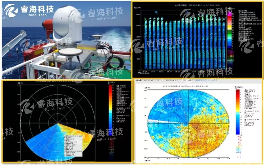 微信圖片_20250226090335